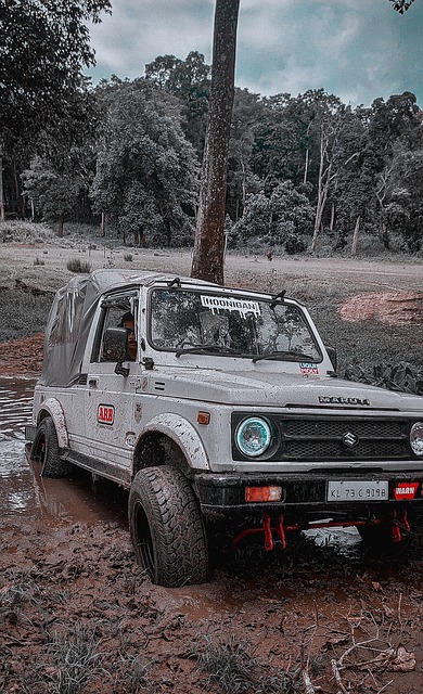 而今年的锦 而今年的锦