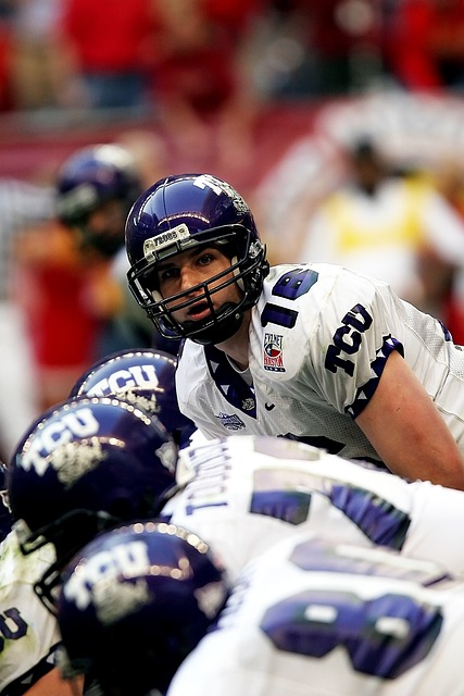 本次公布的 本次公布的