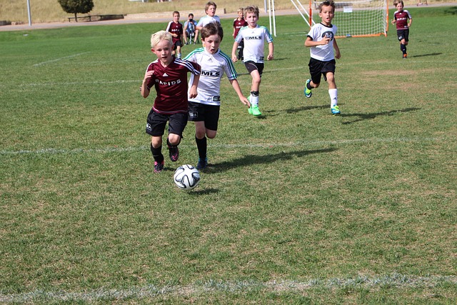 的管理层提 的管理层提