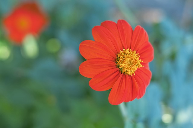 反映在球员 反映在球员