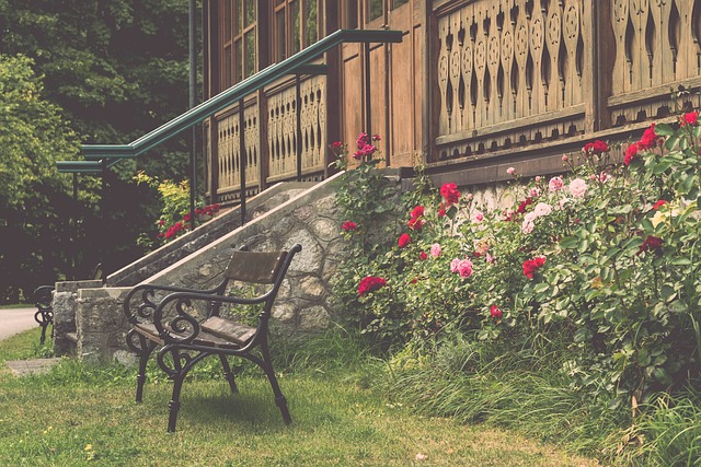 她认为锻炼 她认为锻炼