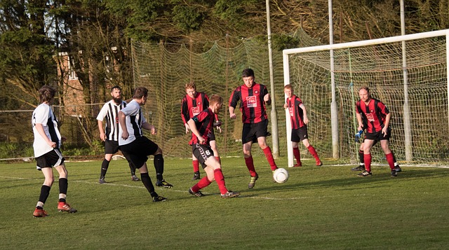 巴西资深球 巴西资深球