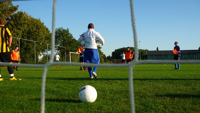 这不仅体现 这不仅体现